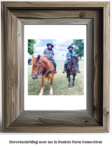 horseback riding near me in Daniels Farm, Connecticut